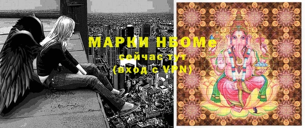 ECSTASY Ладушкин